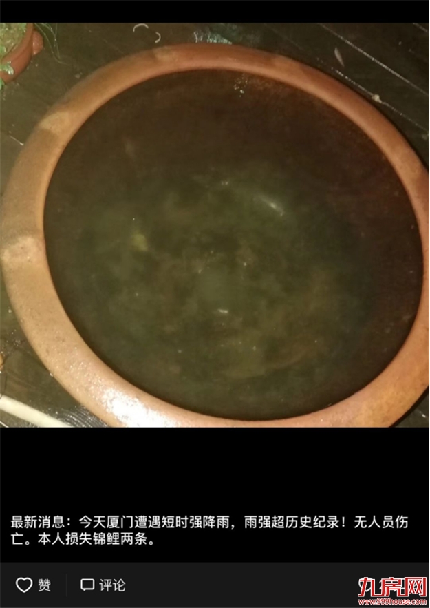 狂风暴雨+电闪雷鸣！刚刚，超级暴雨袭城！厦门沦陷，段子手又high了！——九房网