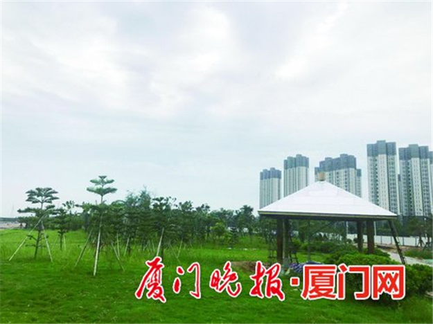 马銮湾片区首个带状公园 面朝大海赏四季花海——九房网