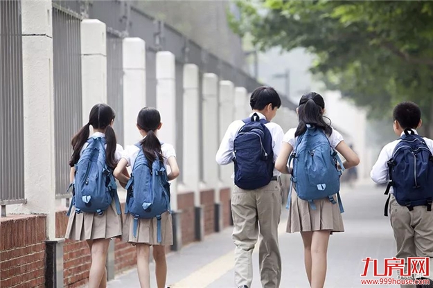 书香环绕：全龄段菁英教育，护航孩子未来——九房网