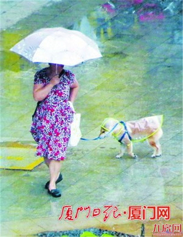 今起进入台风季本月可能特别热 7月或有1个台风影响厦门——九房网