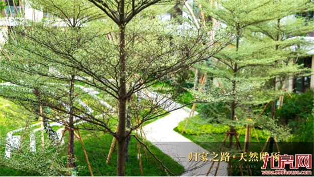 那些你不得不知道的关于成熟社区的小秘密——九房网 那些你不得不知道的关于成熟社区的小秘密——九房网