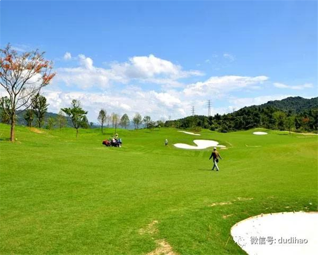 福建科鑫夺得龙岩紫金山体育公园3号宅地 楼面价4762元/㎡——九房网 福建科鑫夺得龙岩紫金山体育公园3号宅地 楼面价4762元/㎡——九房网