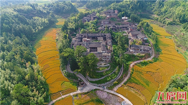 第四届永泰“李梅节”之采摘季——九房网