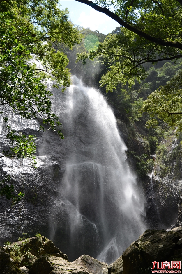 第四届永泰“李梅节”之采摘季——九房网