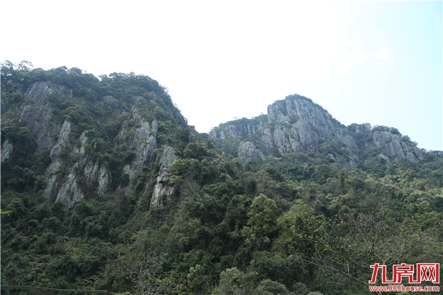 第四届永泰“李梅节”之采摘季——九房网