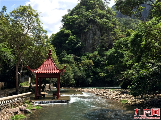 第四届永泰“李梅节”之采摘季——九房网