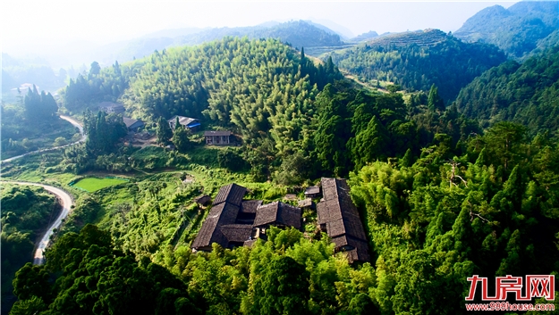 第四届永泰“李梅节”之采摘季——九房网