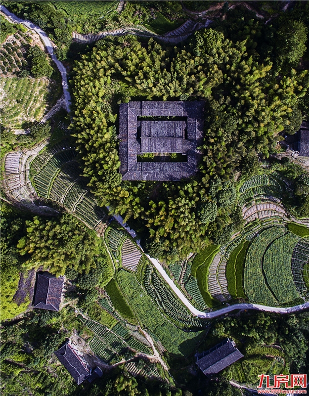 第四届永泰“李梅节”之采摘季——九房网