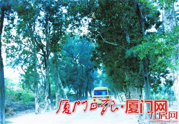 从倒“C”形变成“O”形明年初全线通车 环岛路要“环”起来了——九房网