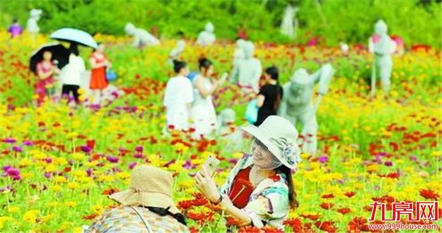 翔安香山郊野公园花海 烈日炎炎依旧引众多游客——九房网
