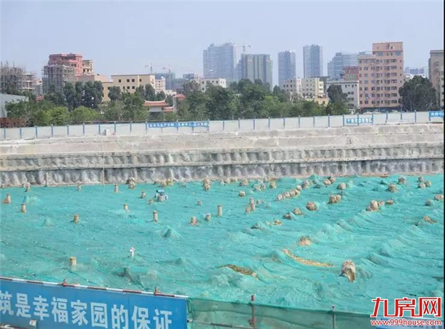 厦门房产,厦门房地产,厦门新房,九房网,厦门房产