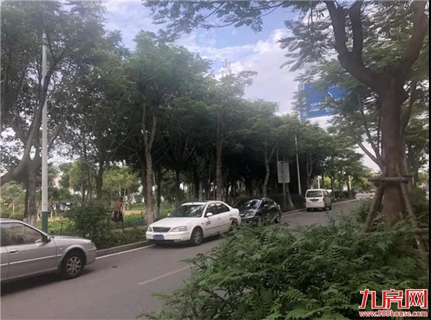 实探!熟悉的集美新城,不一样的5盘测评报告来了!——九房网 实探!熟悉的集美新城,不一样的5盘测评报告来了!——九房网