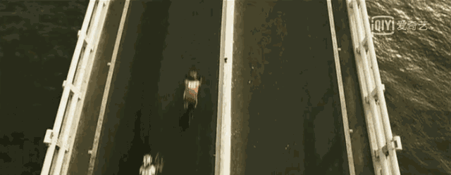 厦门一中霸屏热搜!《快把我哥带走》还带火了这些厦门美景...——九房网