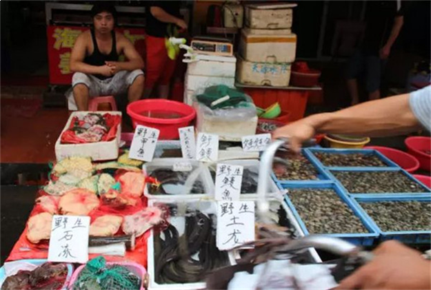 厦门一中霸屏热搜!《快把我哥带走》还带火了这些厦门美景...——九房网