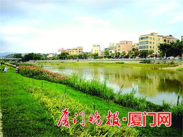 建松木桩生态岛吸引鸟类 东溪生态提升示范项目下周完工——九房网