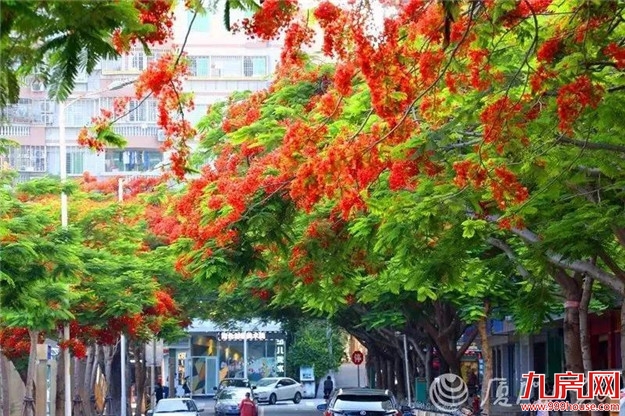 厦门房产,厦门房地产,厦门新房,九房网,厦门房产 厦门房产,厦门房地产,厦门新房,九房网,厦门房产