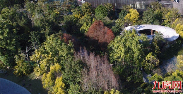 这个自然养心的“理想国”，才是这个夏天最值得去的地方——九房网