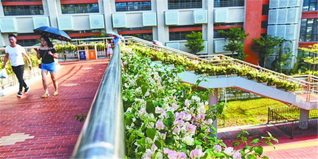 岛内15座人行天桥穿上“彩衣” 彩化布置已完工——九房网