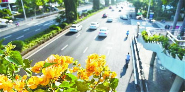 岛内15座人行天桥穿上“彩衣” 彩化布置已完工——九房网