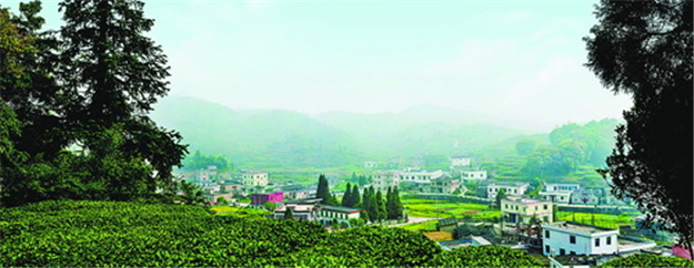 同安专项清理整治“大棚房”等问题 切实落实最严格的耕地保护制度——九房网