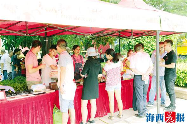 稻花香里说丰年 海沧丰收节签约5个农村集体经济项目——九房网