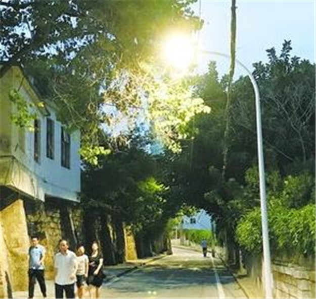 厦2500盏路灯被改造 “聪明路灯”高亮度按需照明——九房网