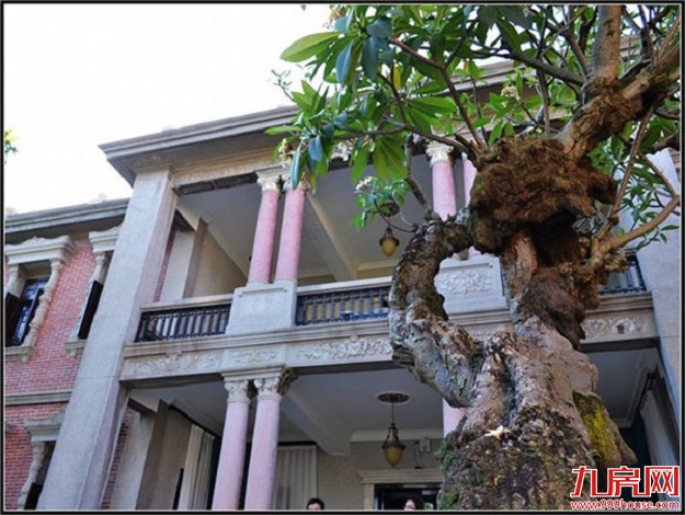 厦门房产,厦门房地产,厦门新房,九房网,厦门房产