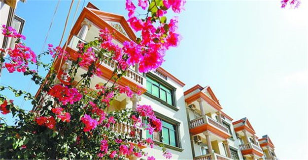 厦门着力补齐农村环境短板 擦亮乡村振兴美丽底色——九房网