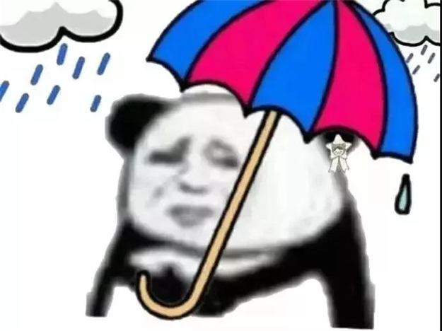 大降温!冷空气半夜携大雨杀到厦门!网友齐呼：终于可以脱单了!——九房网