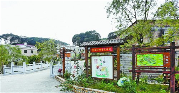 厦门着力补齐农村环境短板 擦亮乡村振兴美丽底色——九房网