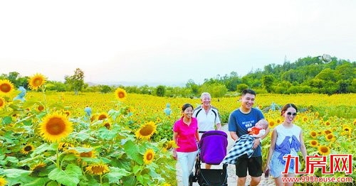 翔安新区开发建设十五周年 书写一座新城的光荣与梦想——九房网