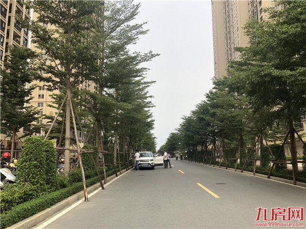 实探!翔安热盘最新进度曝光!精装2.6万/㎡起,刚需看过来!——九房网 实探!翔安热盘最新进度曝光!精装2.6万/㎡起,刚需看过来!——九房网