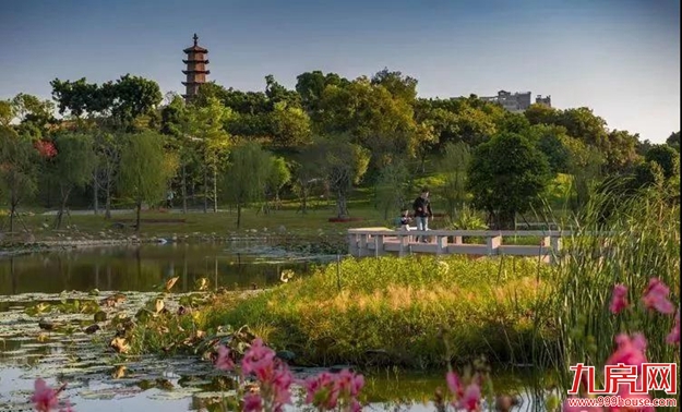 美爆了！厦门最大的生态公园要来啦！可观海、爬山、赏花、吸氧…——九房网