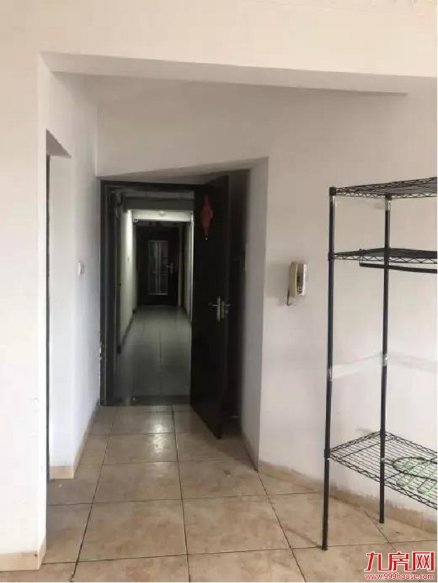 单价仅2.9万/㎡！100多组客户围观！岛内网红盘一夜爆火！内幕惊人...——九房网