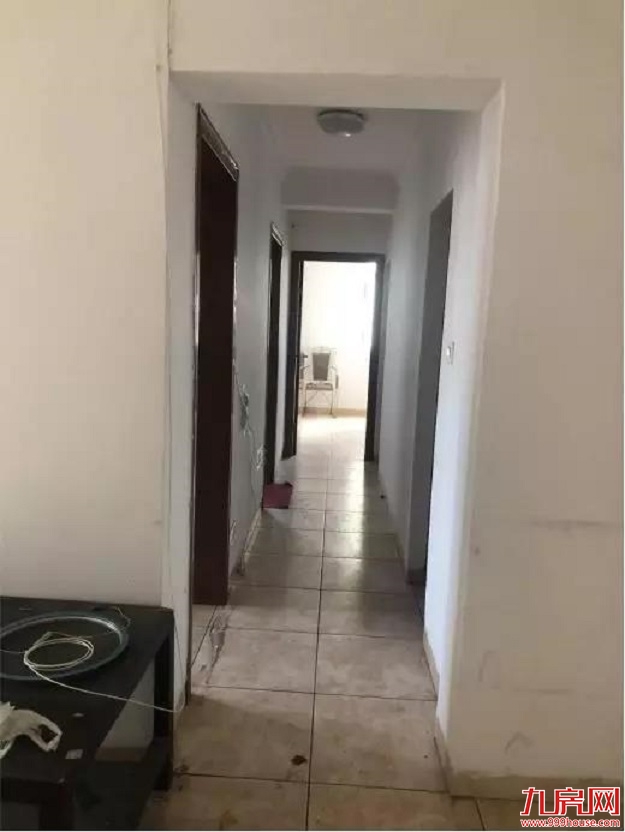 单价仅2.9万/㎡！100多组客户围观！岛内网红盘一夜爆火！内幕惊人...——九房网