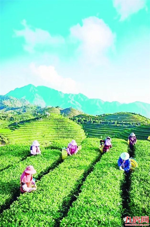 山高人为峰 | 九龙江集团以“生态理念”打造高品位高峰谷景区——九房网