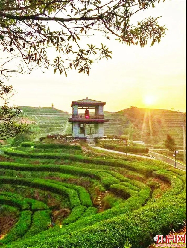 山高人为峰 | 九龙江集团以“生态理念”打造高品位高峰谷景区——九房网