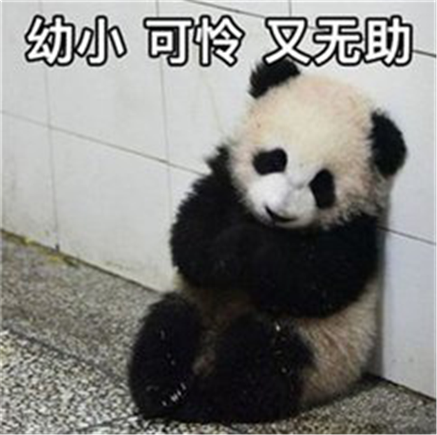 环降1.23%！终于，厦门连房租都开始跌了！(附各区房租最新参考价)——九房网