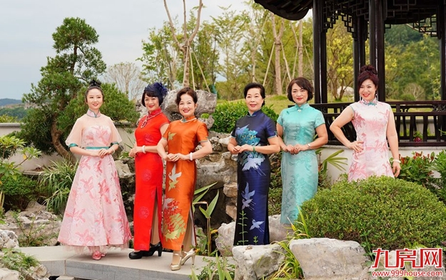 当曾凤飞遇见桃李春风丨似是故人归——九房网