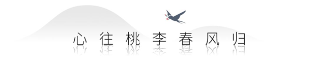 当曾凤飞遇见桃李春风丨似是故人归——九房网