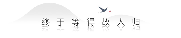当曾凤飞遇见桃李春风丨似是故人归——九房网