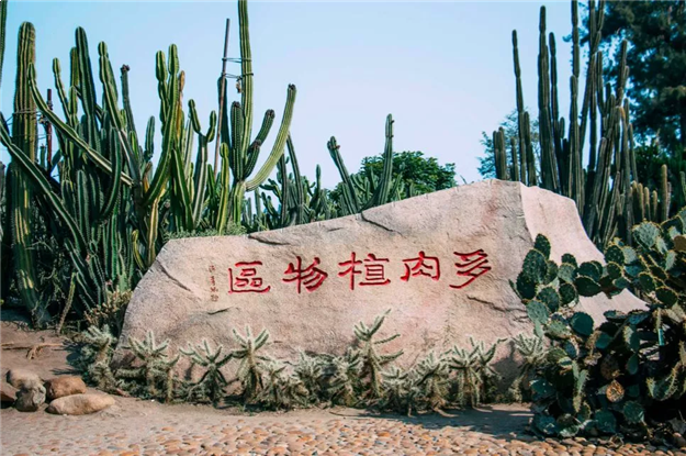 最新!这项世界排名,厦门全球第二!Wuli厦门又火了!——九房网 最新!这项世界排名,厦门全球第二!Wuli厦门又火了!——九房网