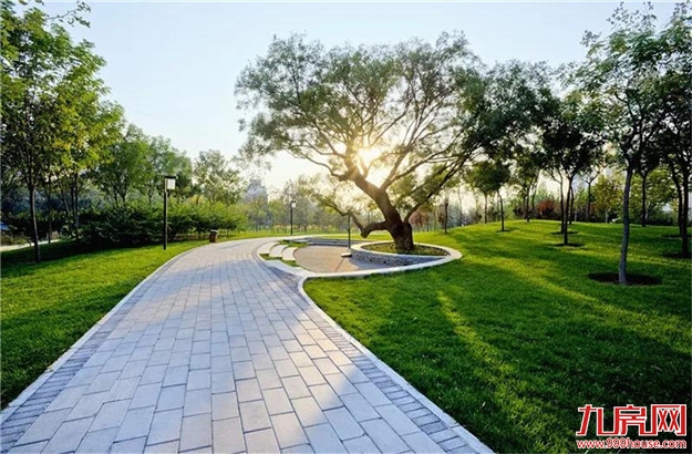 2019第一天到哪里打卡？厦门新晋国际网红圣地了解一下——九房网