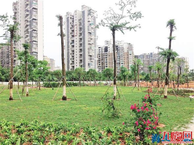 厦门房产,厦门房地产,厦门新房,九房网,厦门房产