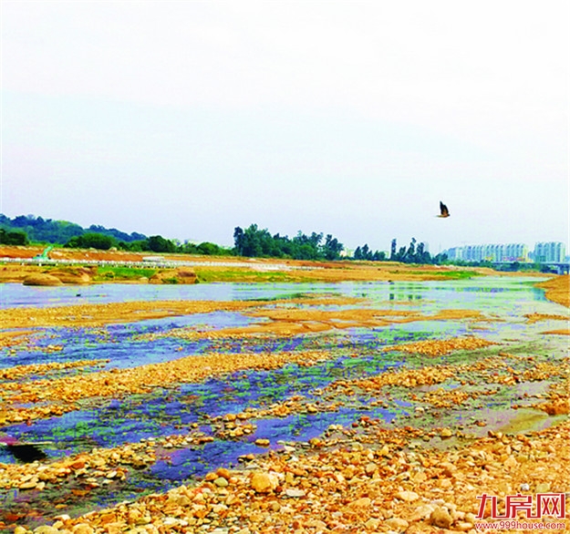 厦门房产,厦门房地产,厦门新房,九房网,厦门房产 厦门房产,厦门房地产,厦门新房,九房网,厦门房产