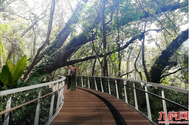 马銮湾新城、地铁3号线、健康步道最新消息!速看→——九房网 马銮湾新城、地铁3号线、健康步道最新消息!速看→——九房网