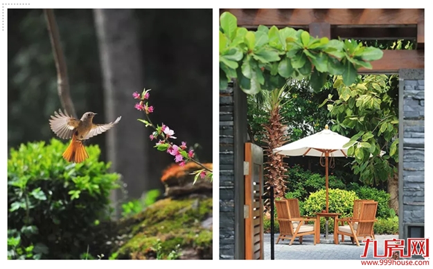 厦门房产,厦门房地产,厦门新房,九房网,厦门房产 厦门房产,厦门房地产,厦门新房,九房网,厦门房产