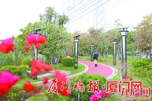 .海翔大道 新增13公里长生态绿道——九房网 .海翔大道 新增13公里长生态绿道——九房网