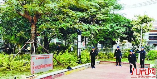 同安区大力推进邻家公园建设 汀溪约10个计划今年开工——九房网