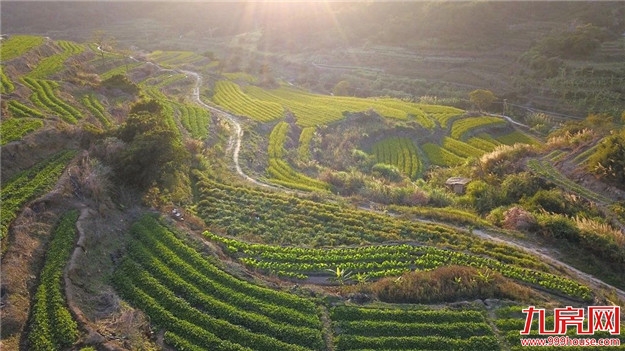 厦门房产,厦门房地产,厦门新房,九房网,厦门房产